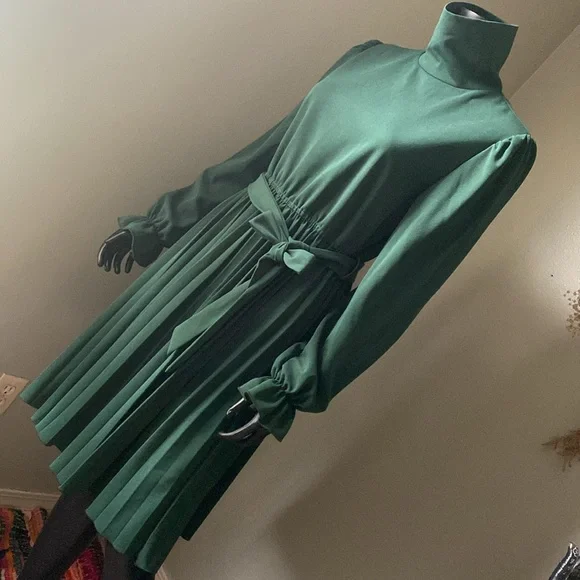 Elegant Green Long Sleeve Pleated Dress - Picture 4 of 12